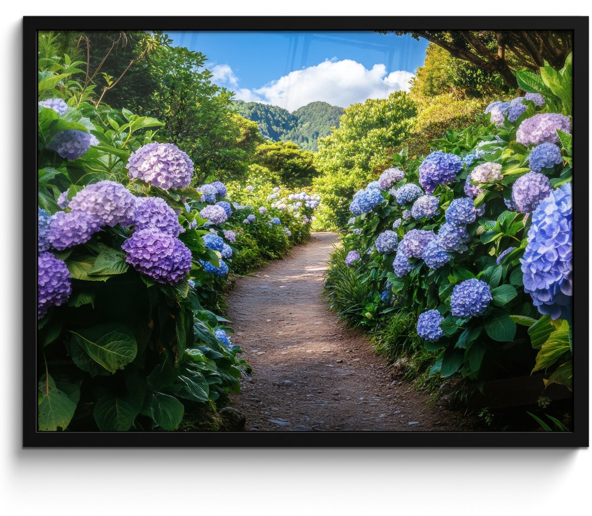 FrameYourWall Poster in lijst - Fotolijst 70x50 cm - Posters - Hortsensia - Pad - Bloemen - Posterlijst zwart - Decoratie - Wanddecoratie woonkamer - Muurdecoratie slaapkamer Hortensia - Pad