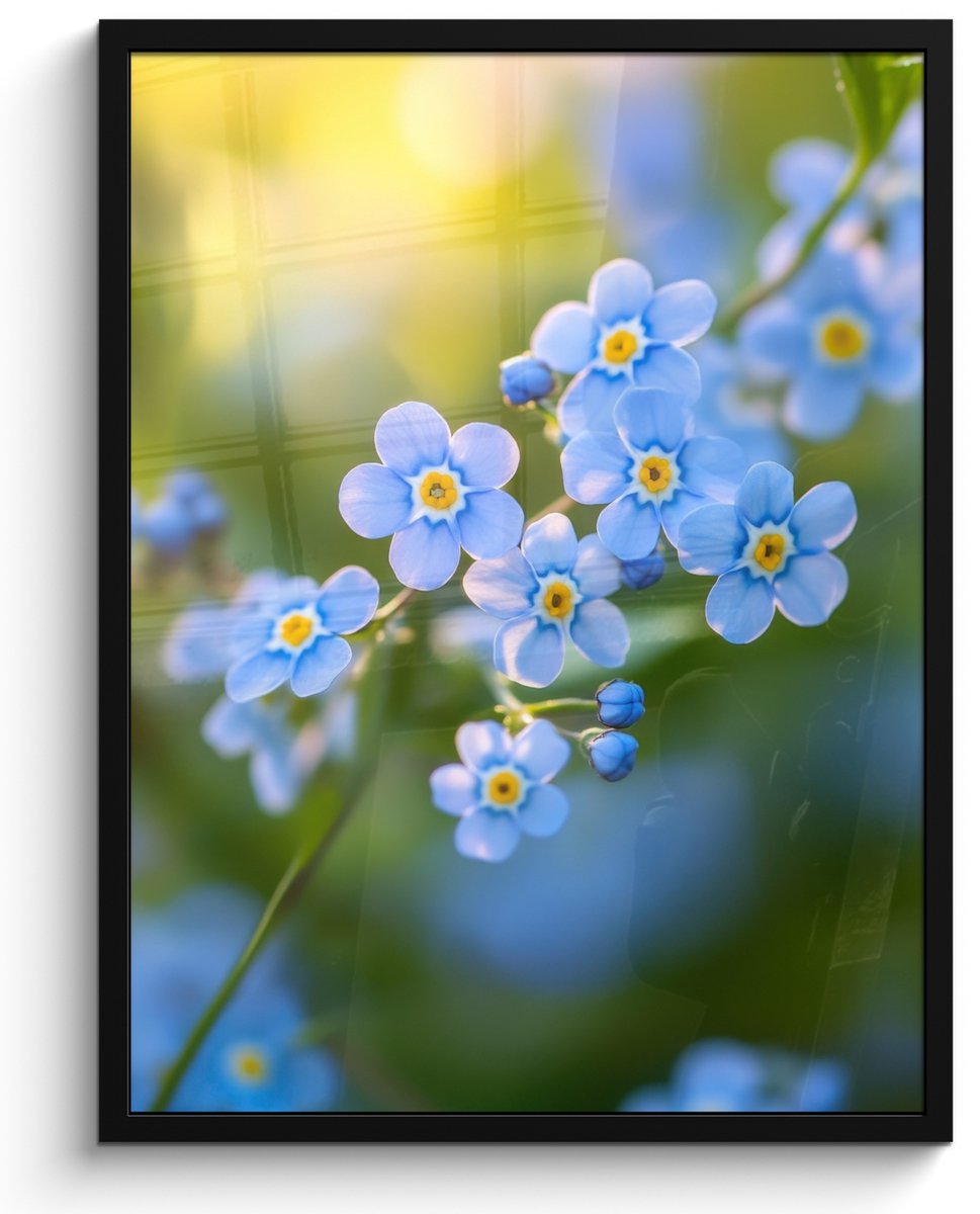FrameYourWall Poster in lijst - Fotolijst 50x70 cm - Posters - Bloemetjes - Blauw - Vergeet mij nietjes - Posterlijst zwart - Decoratie - Wanddecoratie woonkamer - Muurdecoratie slaapkamer