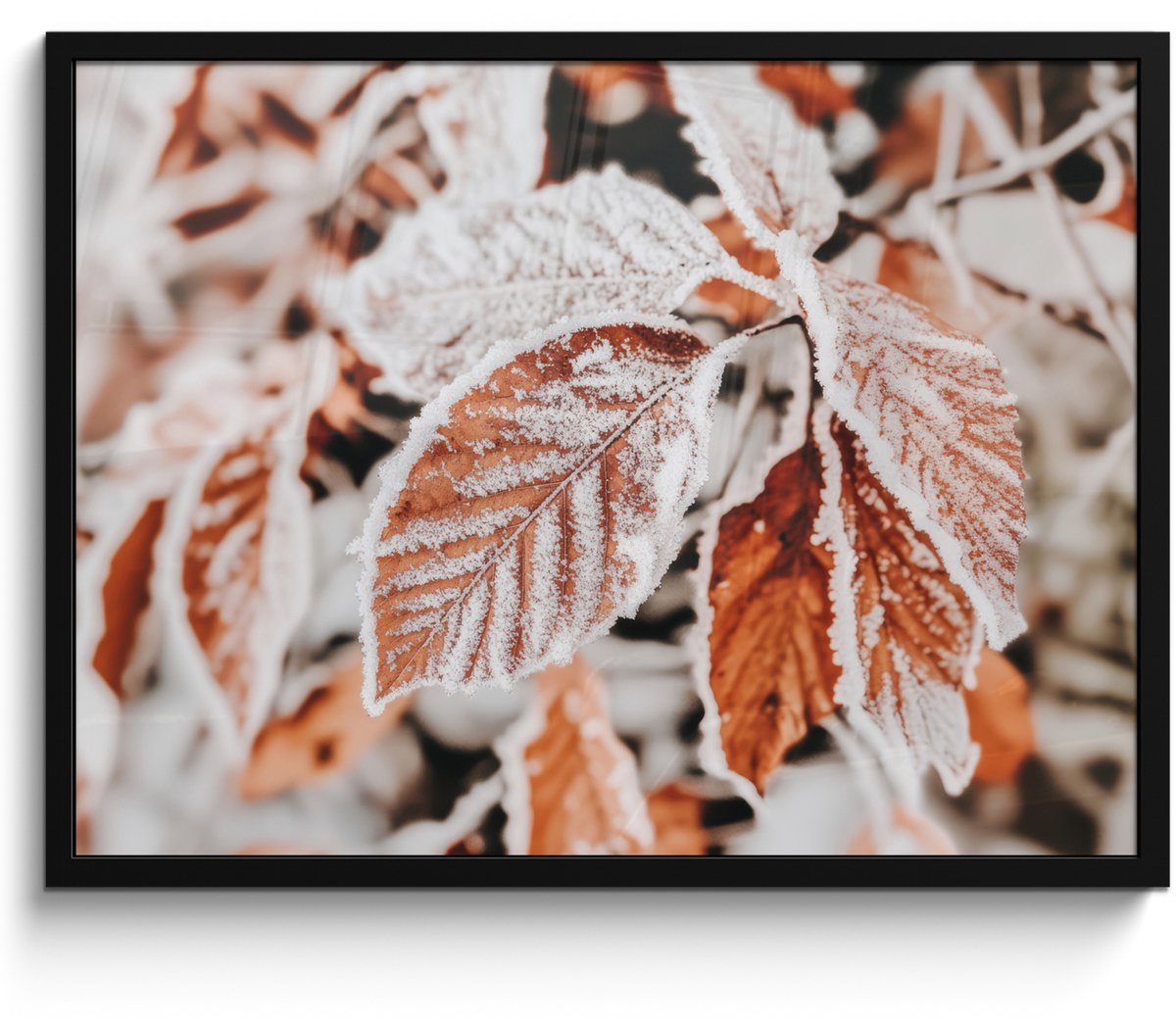 FrameYourWall Poster in lijst - Fotolijst 70x50 cm - Posters - Bladeren - IJs - Winter - Natuur - Posterlijst zwart - Decoratie - Wanddecoratie woonkamer - Muurdecoratie slaapkamer