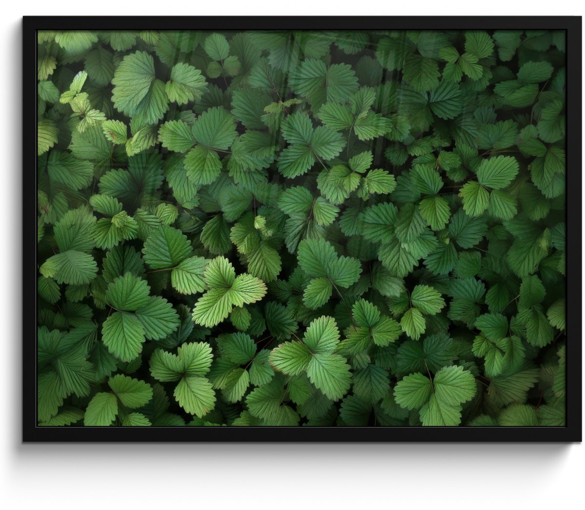 FrameYourWall Poster in lijst - Fotolijst 70x50 cm - Posters - Groen - Bladeren - Kartel - Zonlicht - Posterlijst zwart - Decoratie - Wanddecoratie woonkamer - Muurdecoratie slaapkamer