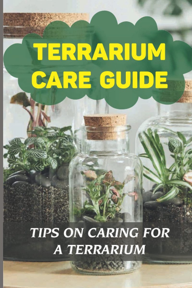 Gids voor Terrarium Onderhoud: Zelf een Terrarium Maken en Verzorgen