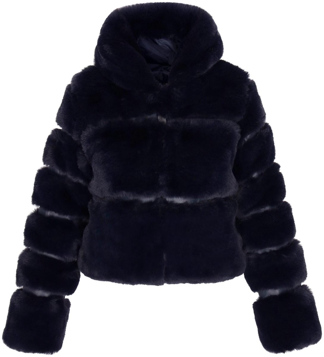 taddy jacket