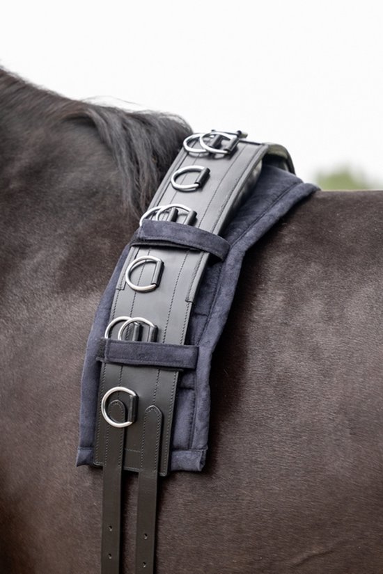 Gedetailleerde blik op de zwarte lederen longeersingel met gespen en ringen, bevestigd aan een paard.