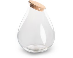 Terrarium fles ‘Drop XXL’ met kurk - Gesloten terrarium Ø 34 cm ↑ 43 cm