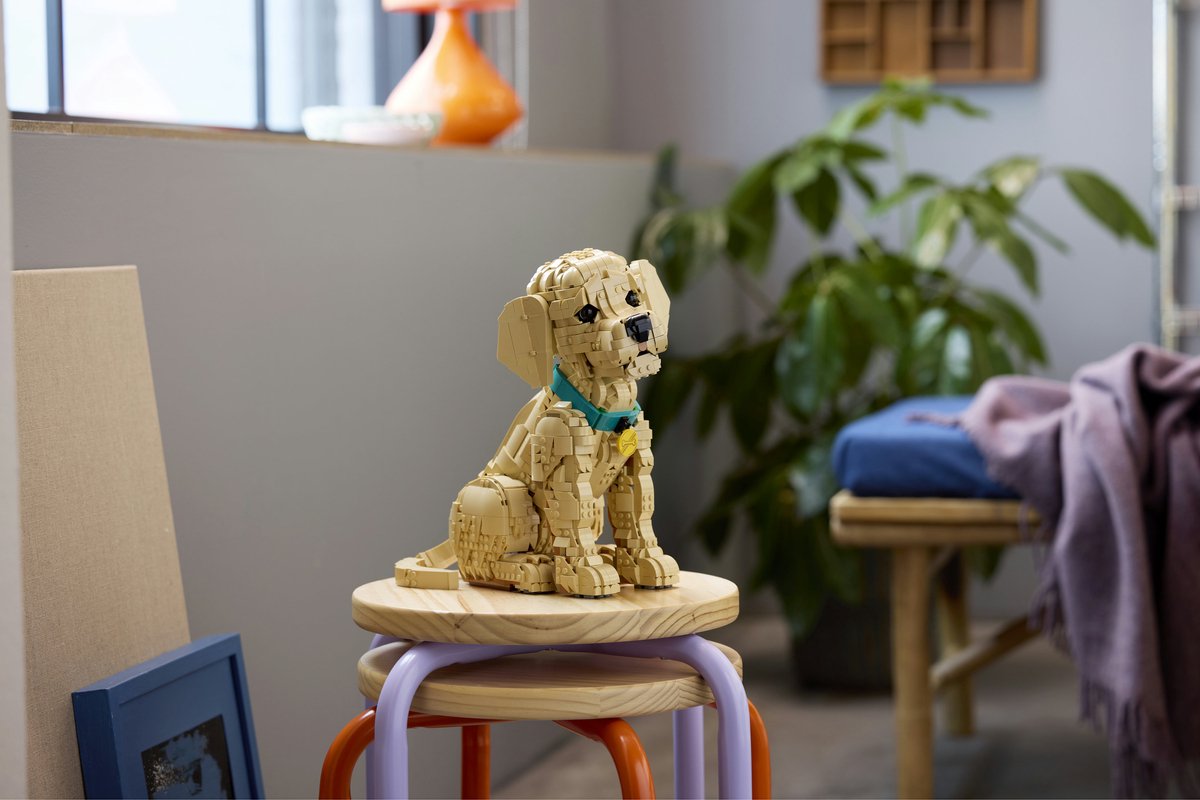 LEGO® Icons Golden Retriever Puppy - Decoratieve Dierenfiguur - Bouwset voor Volwassenen - 11384 — afbeelding 10