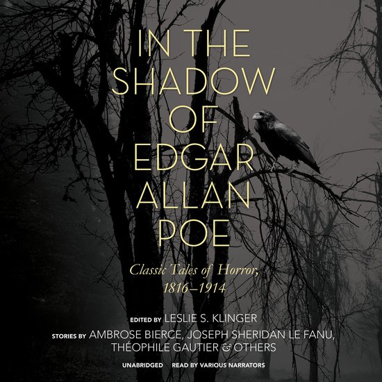 In the Shadow of Edgar Allan Poe - cover