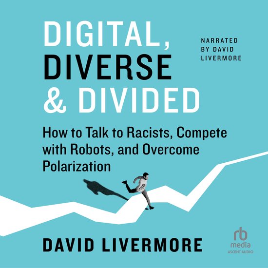 Digital, Diverse & Divided - cover
