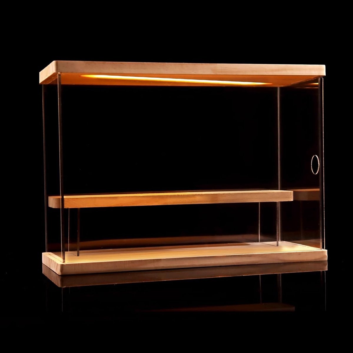 Acryl Vitrinekast - Opbergdoos Display - Verzamelingen Tonen - Stofdicht Zichtbaar - 3mm Paneel 12mm Voet - Transparant Hout