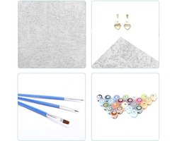 Schilderen op nummer - Creatieve hobby - Ontspanning thuis - Zonder lijst - 40x50cm - Veelkleurig