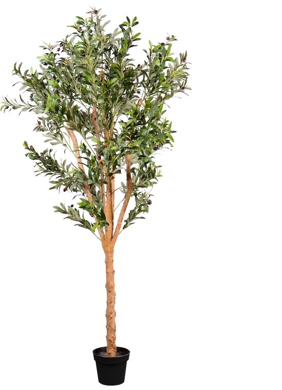 UNUS® Plante artificielle Olijfboom 120 cm avec vrai tronc en bois, plante d'intérieur avec tronc en bois naturel