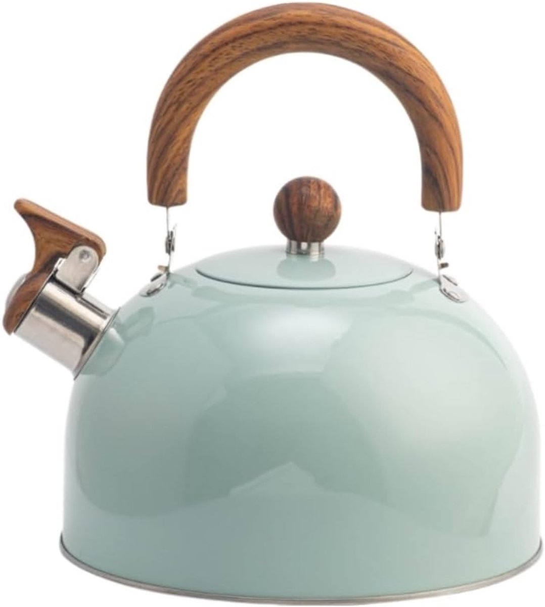 Fluitketel - Waterkoker Theepot - Snel Water Koken - Roestvrij Staal - 3L Capaciteit - Groen
