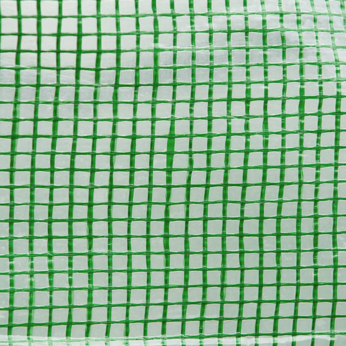 Wishdor - Foliekas Met Boogdak - Met Oprolbare Deur En Raam - Stalen Frame - Groen - 350 X 200 X 200 Cm