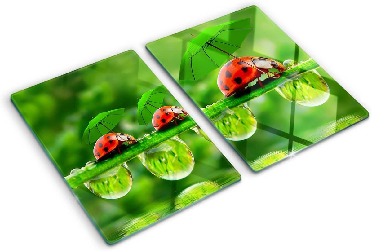Grote Glazen Spatwand en Snijplank van Gehard Glas - Hittebestendig en Antislip