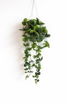 HEM Hangplant Kunstplant – Groene Hangende Plant – Decoratieve Nepplant met Pot – Onderhoudsvrije Kamerplant voor Woonkamer, Badkamer of Kantoor