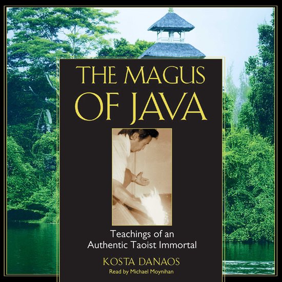 The Magus of Java - cover