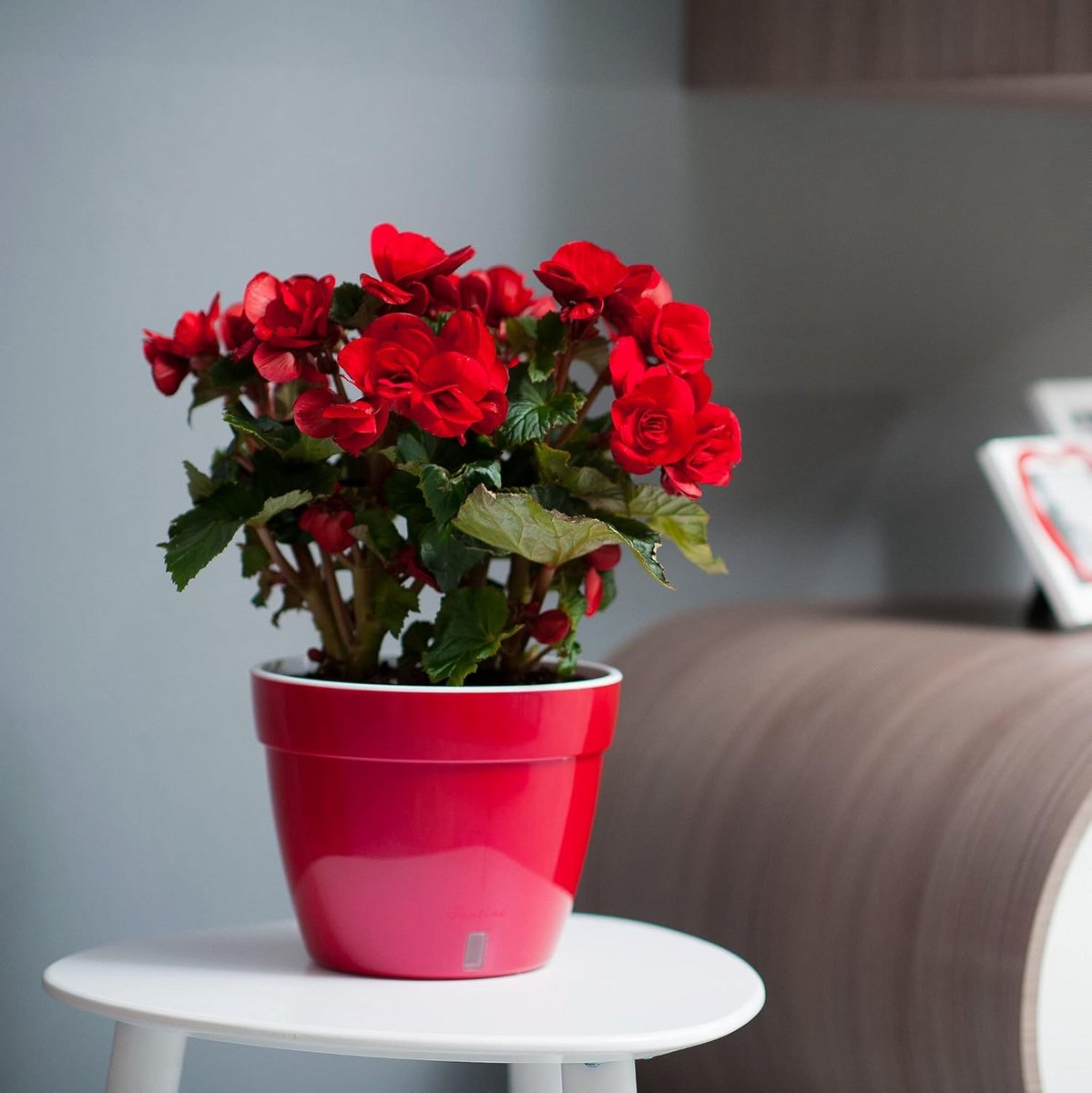 Set van 3 Zelfwaterende Bloempotten 30 cm met Waterindicator - Ronde Plantenpot voor Binnen en Buiten — cadeau in Wonen & Interieur - foto 5