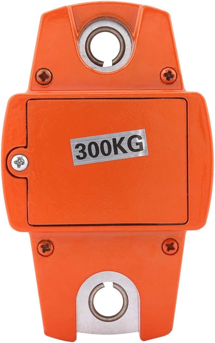 Mini Draagbare Digitale Hangweegschaal - 300 kg