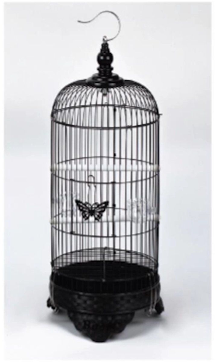 Vogelkooi 309PP