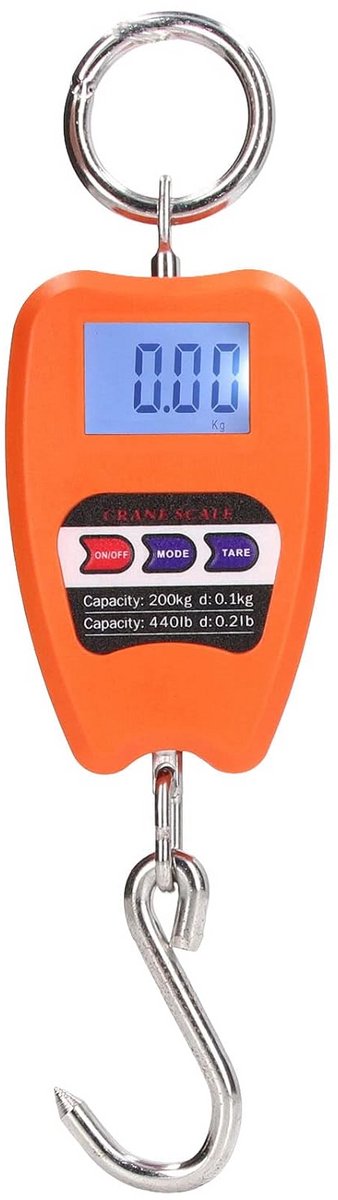 Draagbare Digitale Weegschaal 200kg met LCD Display voor Buiten en Binnen