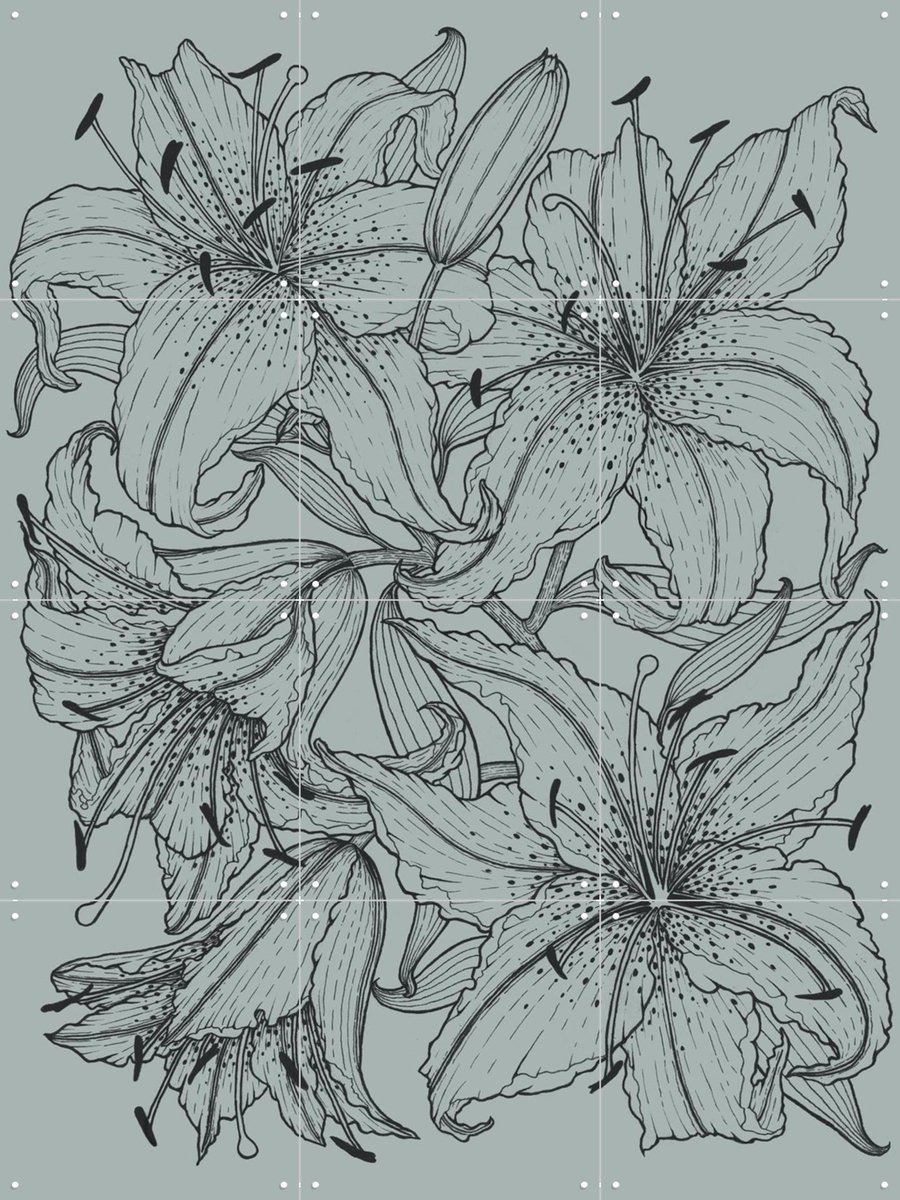 IXXI Lilies Green, Geertje Aalders - 60 x 80 cm - Gratis ophangtool - Grote wanddecoratie en posters - Line art, Illustraties, Woonkamer, Slaapkamer