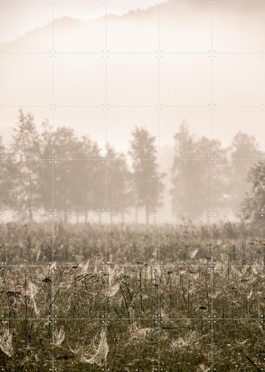 IXXI Foggy Morning, Mareike Böhmer - 100 x 140 cm - Gratis ophangtool - Grote wanddecoratie en posters - Fotografie, Landschappen, Natuur, Winter