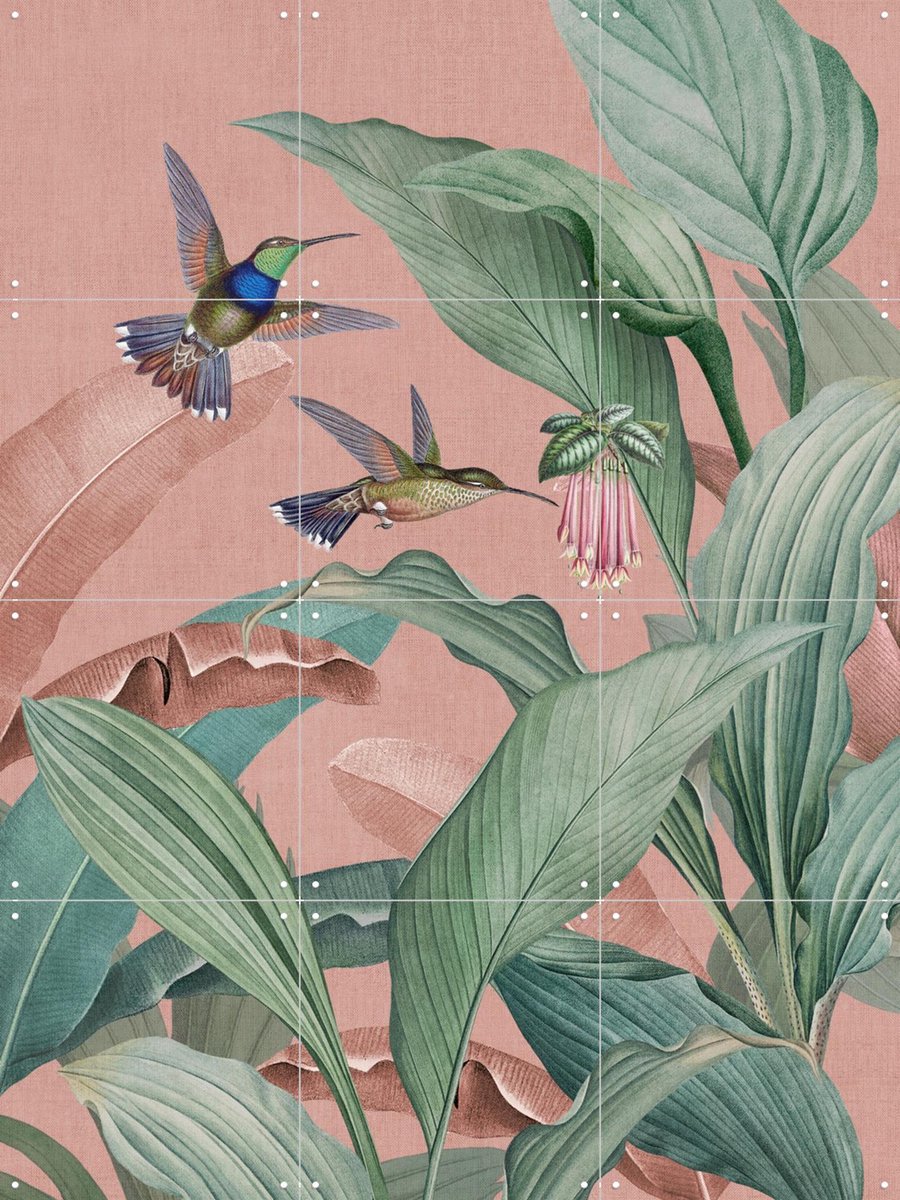 IXXI Birds of Paradise Garden, Bloomery Decor - 60 x 80 cm - Gratis ophangtool - Grote wanddecoratie en posters - Kleurrijk, Illustraties