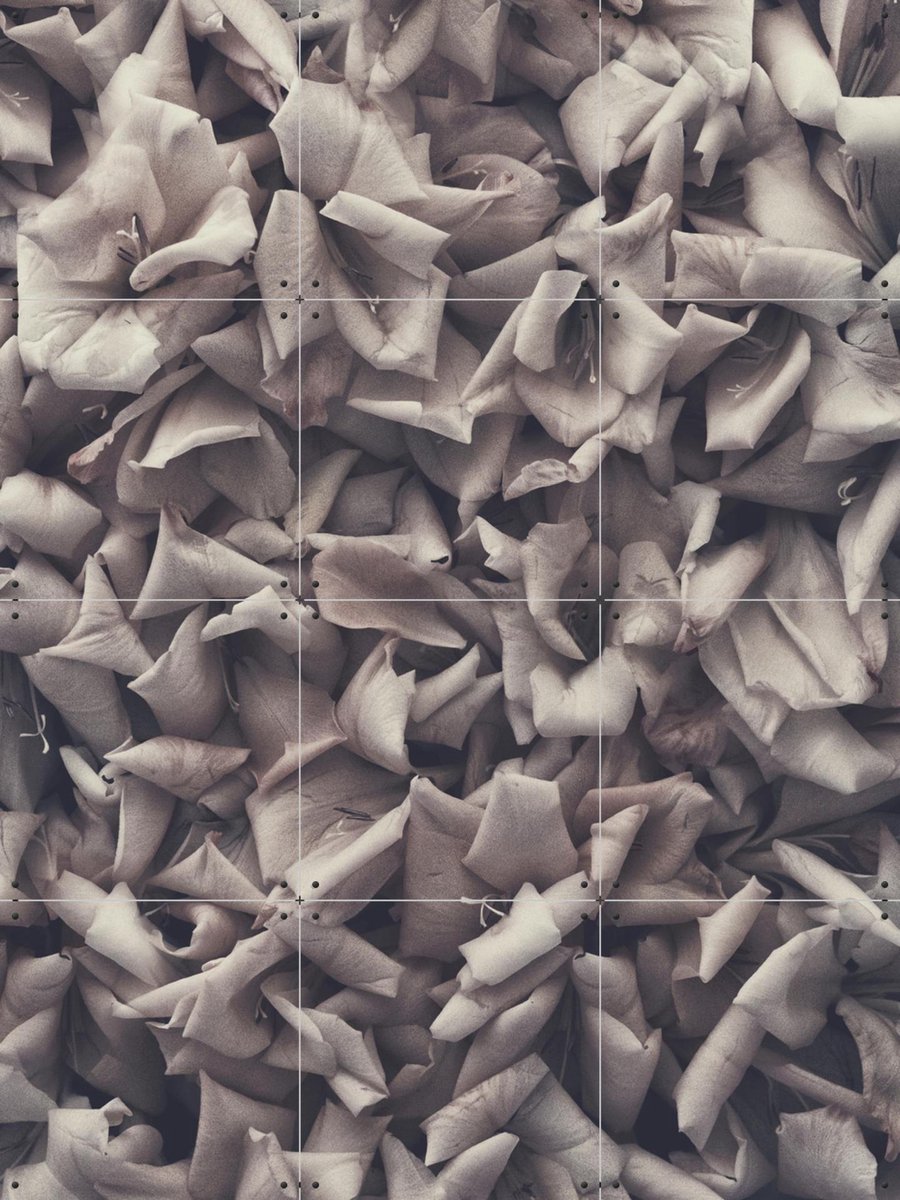 IXXI Eternum, STUDIO HANNAH LEMHOLT - 60 x 80 cm - Gratis ophangtool - Grote wanddecoratie en posters - Fotografie, Minimalisme, Slaapkamer