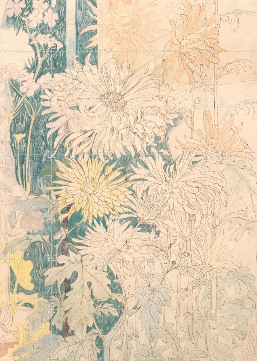 IXXI Chrysanten, Aster Edition - 100 x 140 cm - Gratis ophangtool - Grote wanddecoratie en posters - Vintage, Bloemen