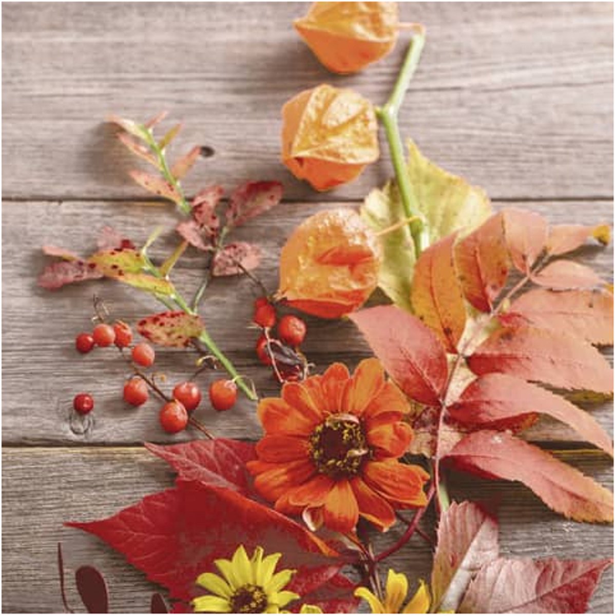 P+D Lunch servetten - Fruity Florals