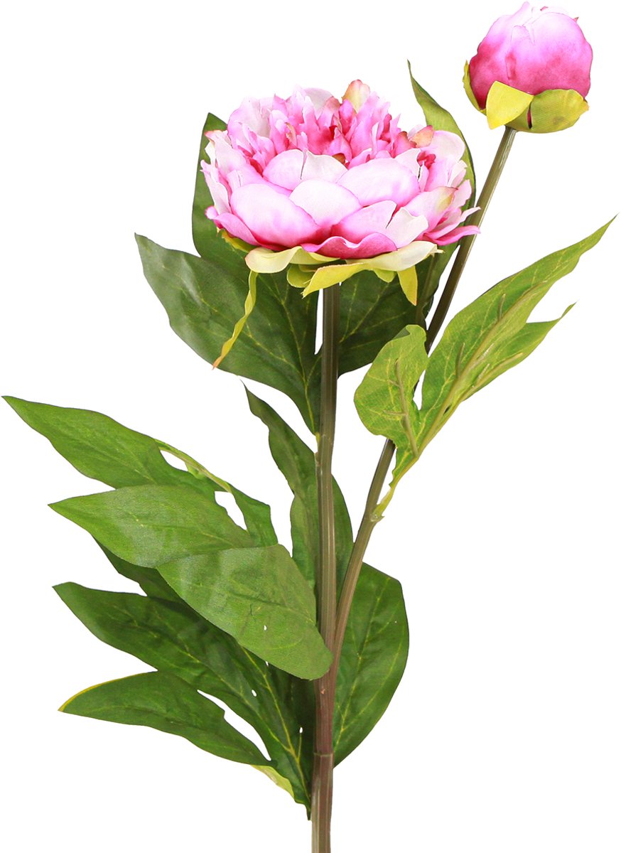 Viana Pioenrozen Kunstbloemen met lange steel Roze 70cm 3st