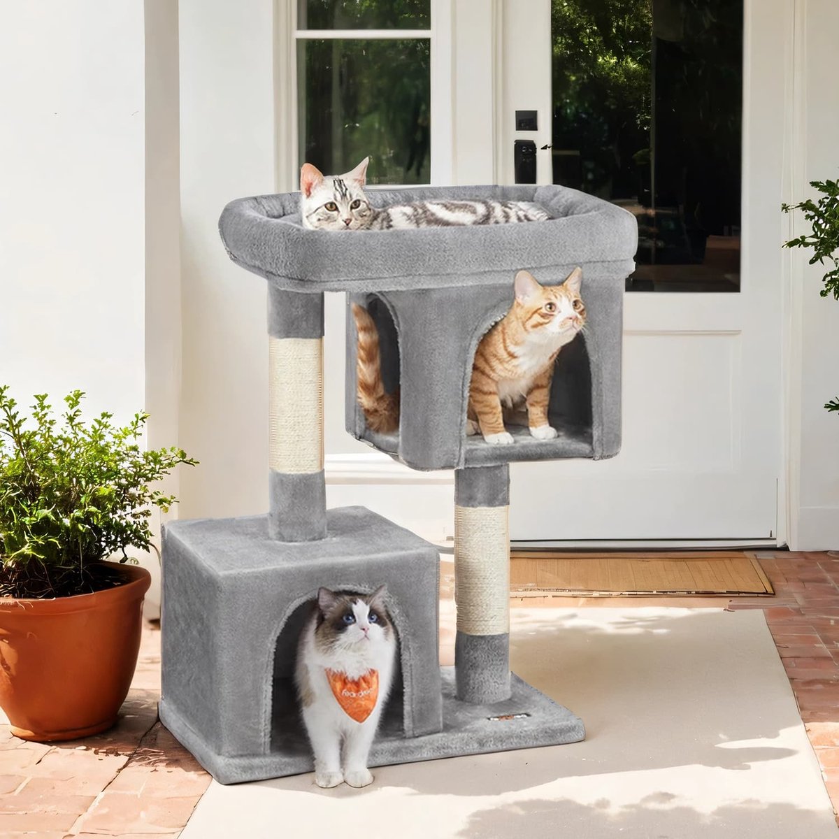 Krabpaal – Hout – Lichtgrijs – Groot zitvlak met twee kattenholletjes en krabpaal
