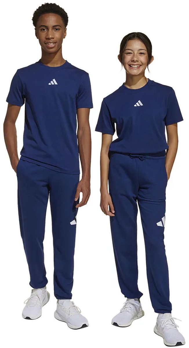 Adidas Essentials Big Logo Joggers 9-10 Years Kinderen Blauw
