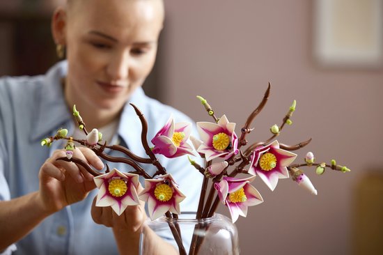LEGO Botanicals Magnoliatakken - 11510