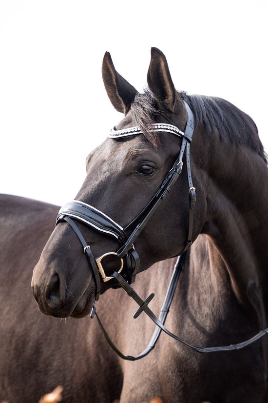 HB Hoofdstel It is So Special Zwart/Zilver - Full | Rood | Hoofdstel paard