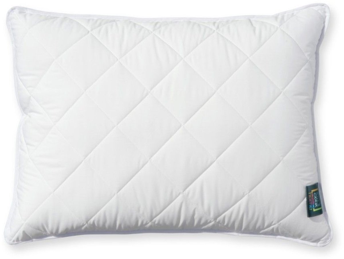 Relax Soft Kussen - Silk Heaven - 50x70cm