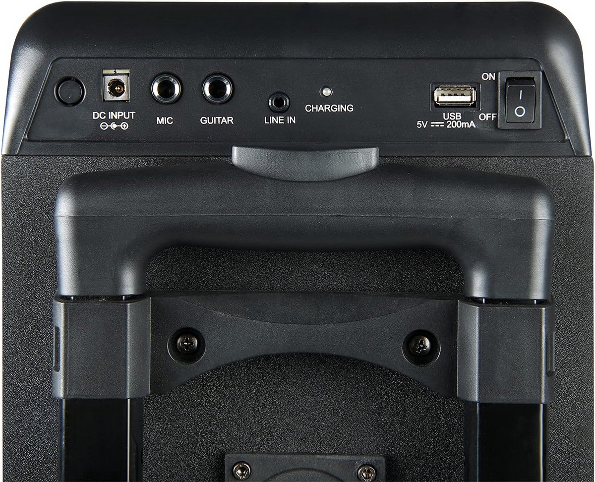 Krachtige Draagbare Bluetooth Speaker met Dubbele 8 inch Subwoofer en Microfoon - TWS Ondersteuning
