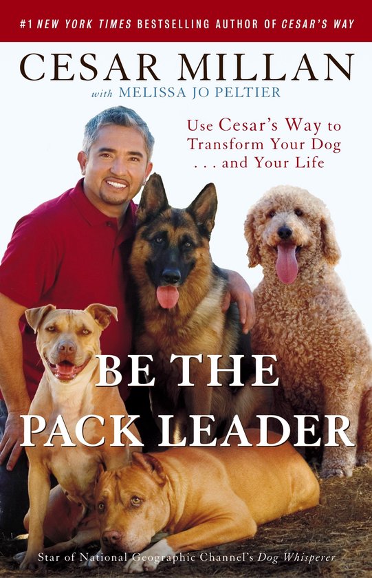 Cesar Millan met drie honden: een Pitbull, Duitse herder en een Labradoodle. Titel: BE THE PACK LEADER.