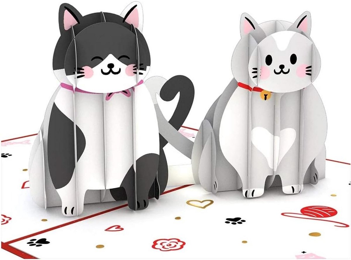 3D Pop-up Wenskaart Katten Liefde voor Valentijnsdag en Verjaardag