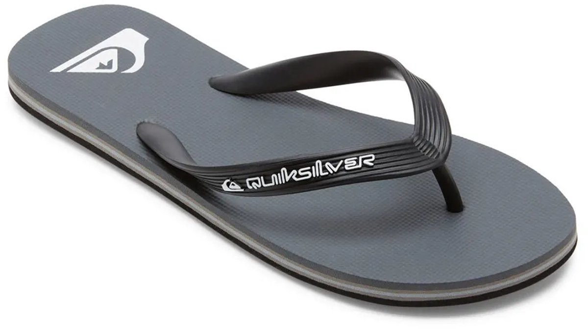 Quiksilver Molokai Core Slippers Man Grijs