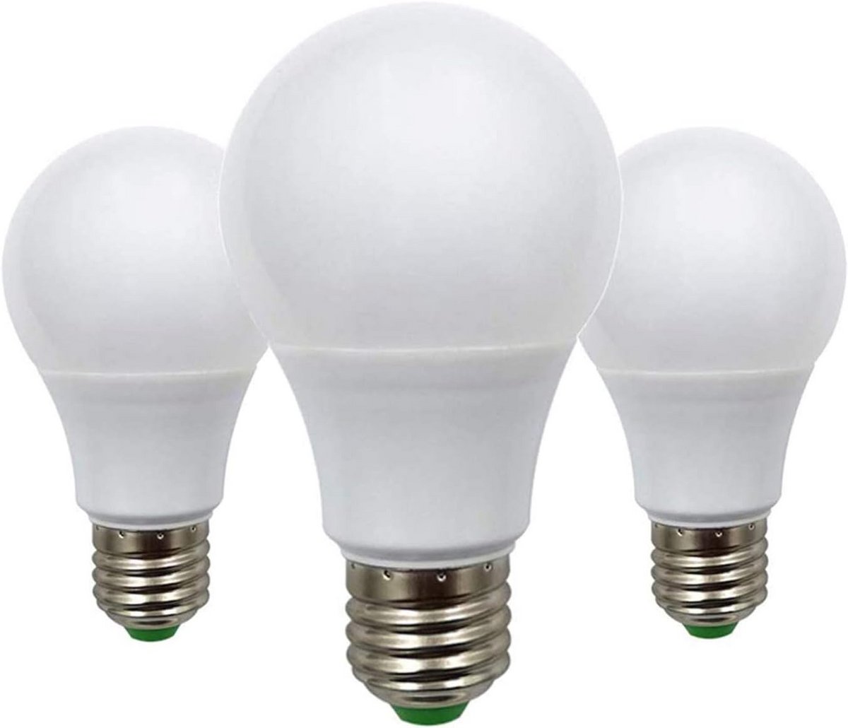 E27 12V LED Lampen Laagspanning Gelijkstroom/Wisselstroom Warm Wit (Set van 3)