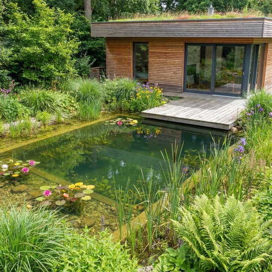 Een natuurlijke zwemvijver met houten terras en een modern huis met groen dak. De vijver is omringd door waterlelies en groen.