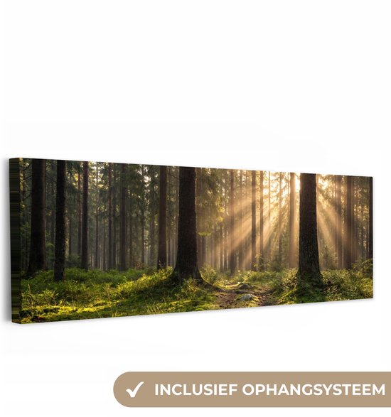 Tableau sur toile 180x60 cm - Décoration murale exclusive Forêt - Lumière du soleil - Herbe - Décoration murale salon - Décoration chambre - Accessoires chambre - Tableaux sur toile