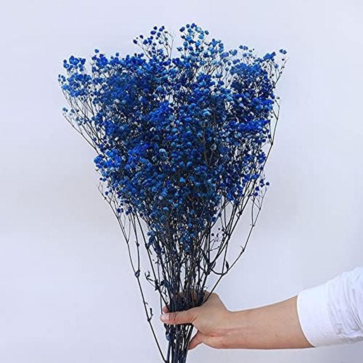 Gedroogde Bloemen - Natuurlijk Boeket - Huis Decoratie - Langdurig Mooi - 30-40cm - Koninklijk Blauw