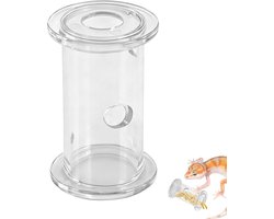 Voederbak Speeltje - Voer Dispenser - Knaagdier Educatie - Wetenschappelijk Ontwerp - Niet Gespecificeerd - Transparant