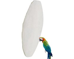 Sepia Botten - Vogelvoer Krijt - Snavel Onderhoud - Natuurlijk Calcium Bron - 5-7 cm - Natuurlijk Wit