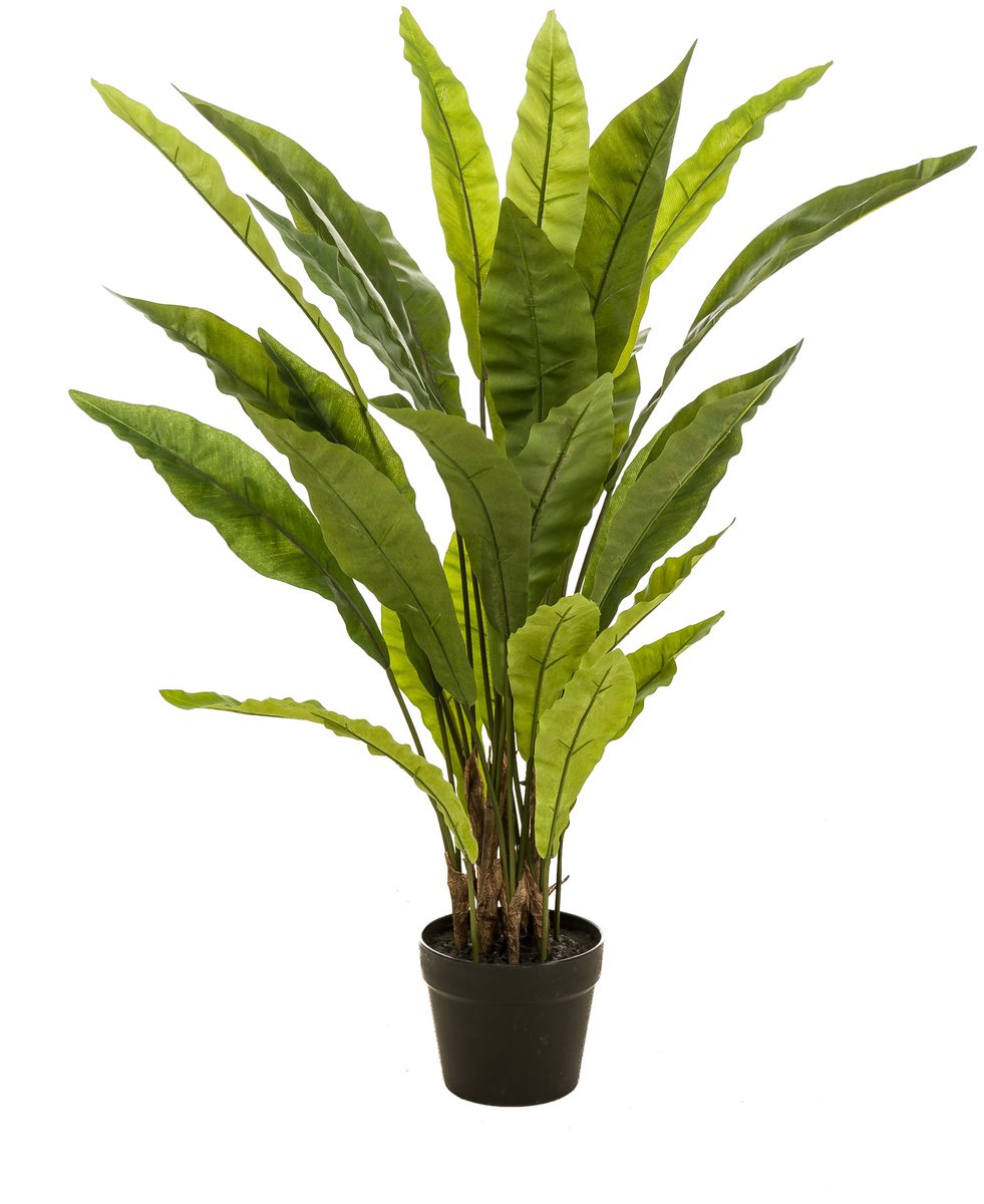 Emerald Kunstplant Fern Asplenium - Realistisch Groen - Onderhoudsvrij