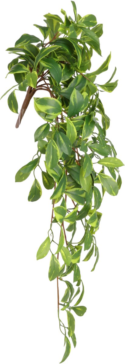 maxifleur Kunstplanten Hoya Carnosa Kunst Hanger 80cm RT Groen