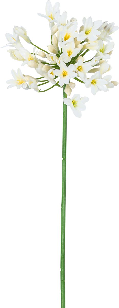 Easyplants | Kunstbloem Agapanthus 77 cm wit | Zijde | Nepbloemen | wit | Onderhoudsvrij | Kant-en-klaar