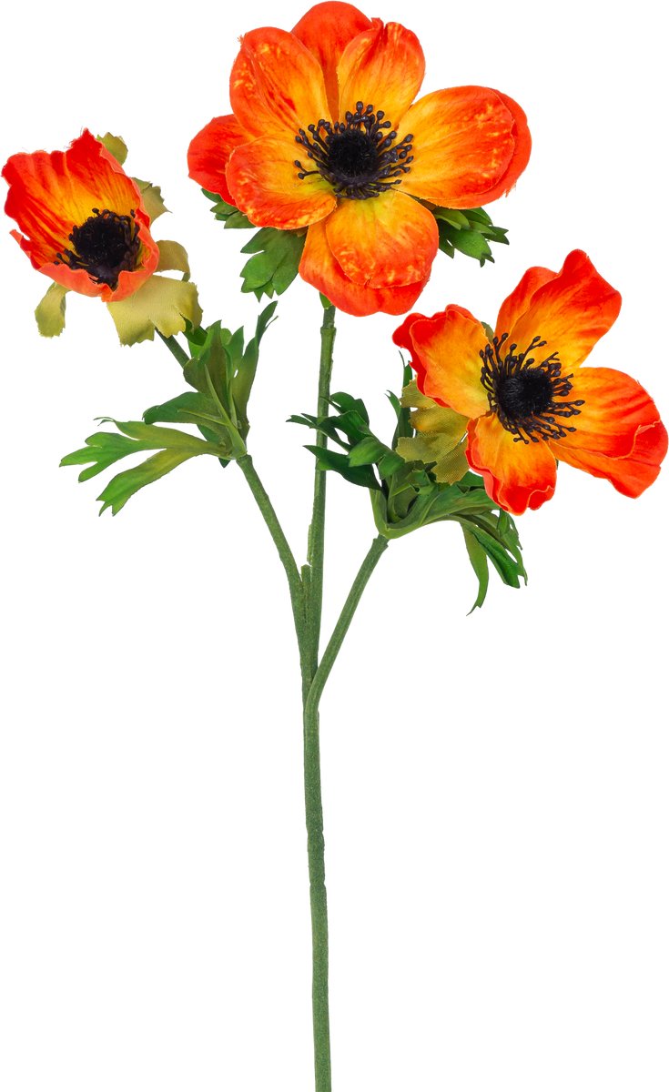 Easyplants | Kunstbloem Anemoon vertakt 56 cm oranje | Zijde | Nepbloemen | oranje | Onder