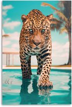 Glasschilderij Pool Tiger - 116 x 78 - Glas - REINDERS